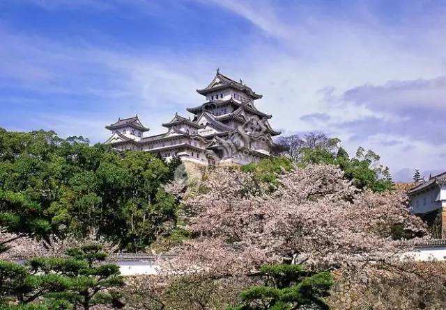 2020年武漢大學(xué)MEM招生簡章 2020年武漢大學(xué)MEM招生簡章